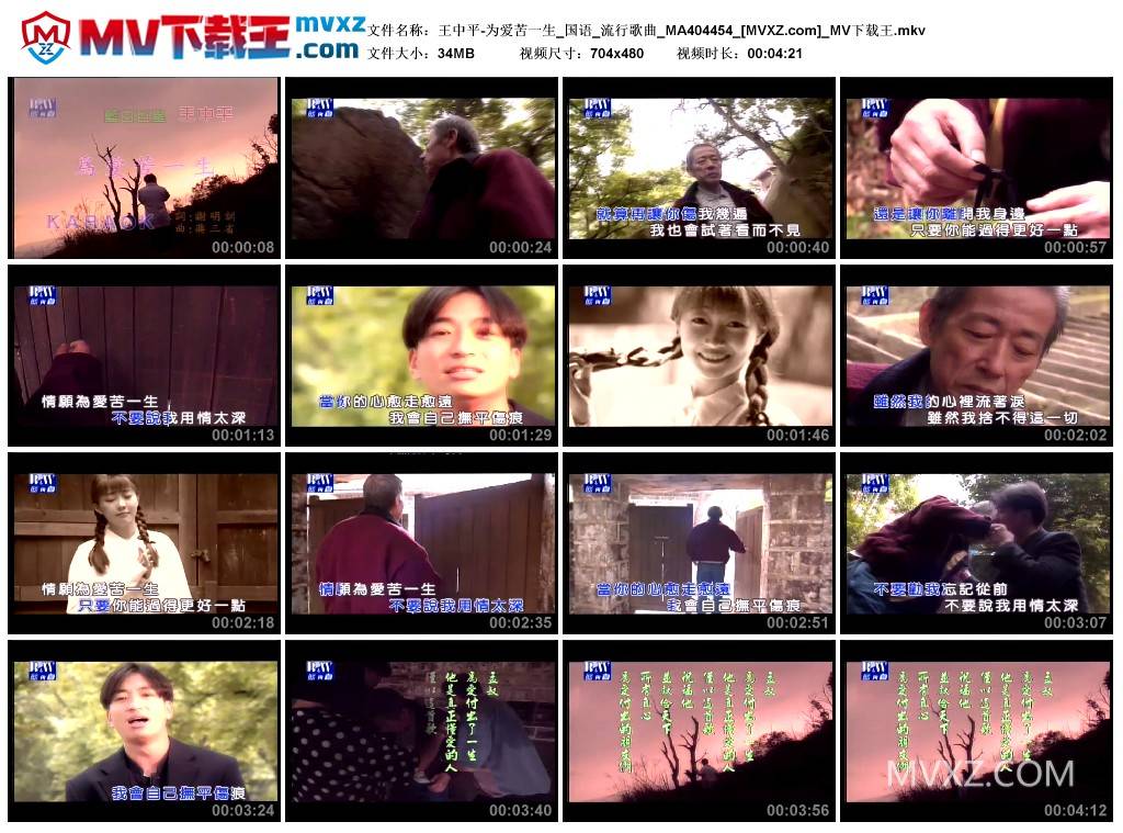 王中平-为爱苦一生_国语_流行歌曲_MA404454